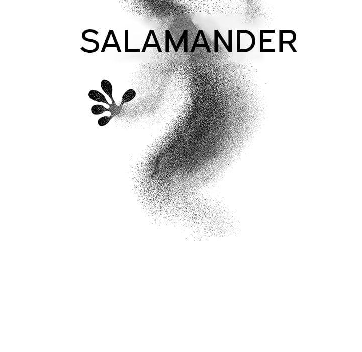 Salamander - Chapter 2 27