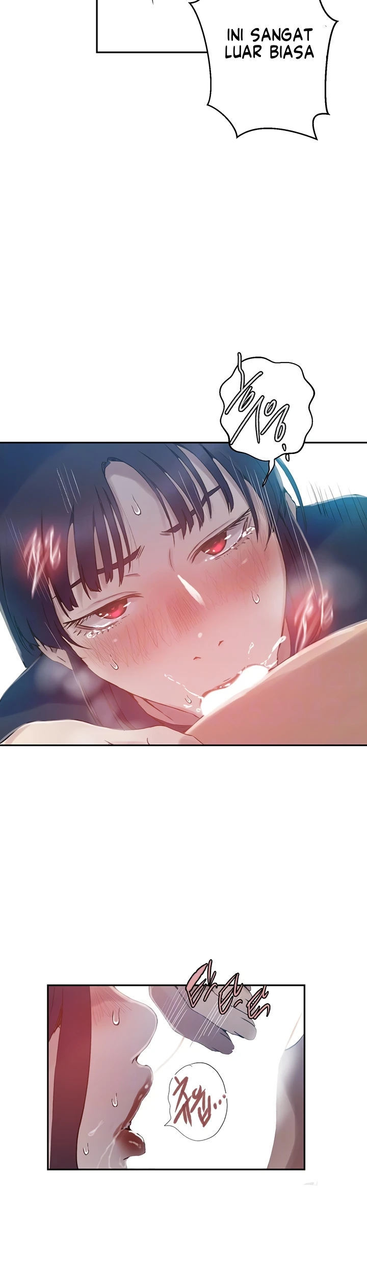 Secret Class - Chapter 258 11