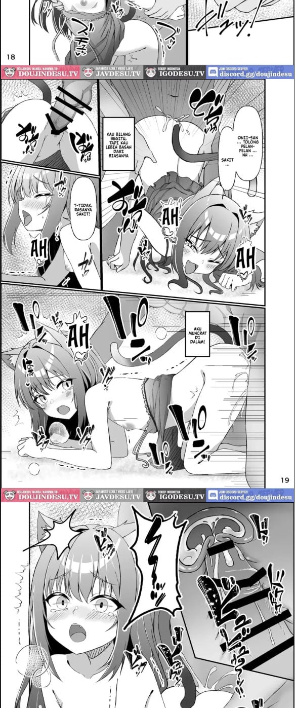 Koneko To No Seikatsu - Chapter 01 11